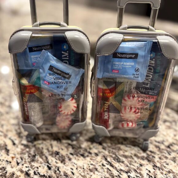 New Mini Pink Luggage Case Suitcase Organizer - Beauty Travel - Picture 9 of 9